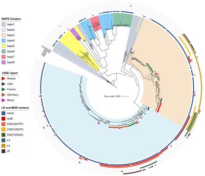 Global Expansion of Linezolid-Resistant Coagulase-Negative Staphylococci